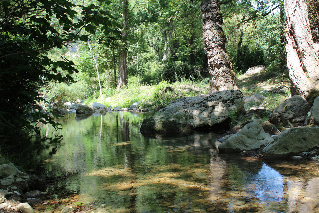 Отель Le Parc De Jouvence Magrie Номер фото